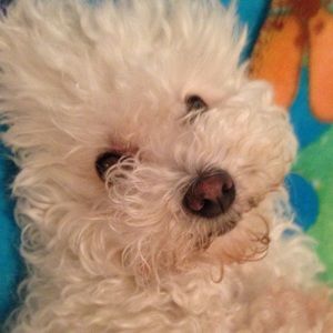 Meet your Posher, Anna